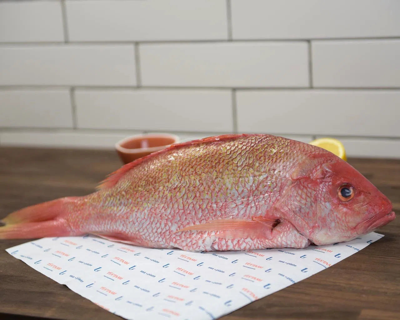 Red Snapper Fillet